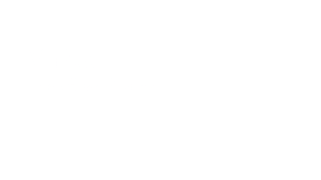 Virtual Professional Programme